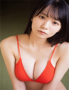 龙珠传奇